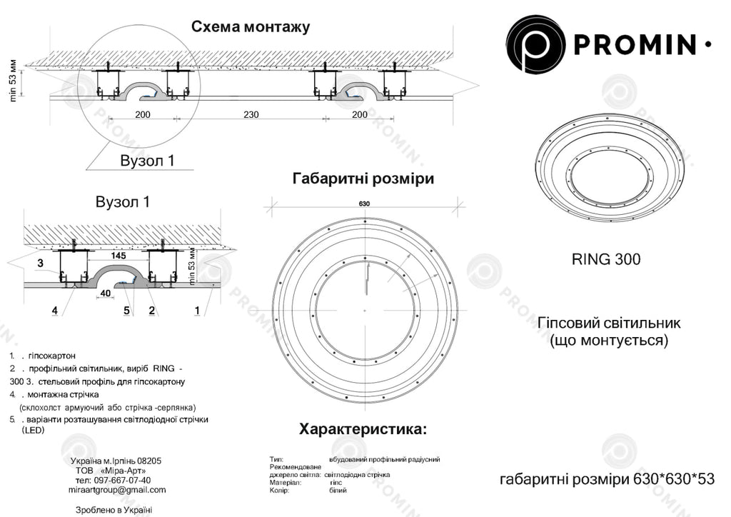 RING 300